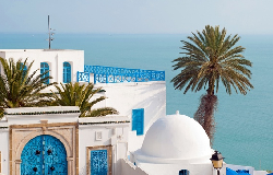 تونس