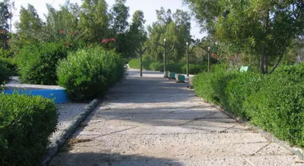 فضای سبز هتل سیمرغ کیش هتل سیمرغ کیش