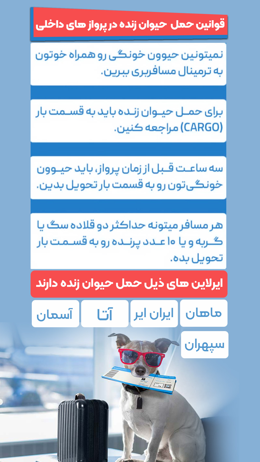 حمل حیوان با هواپیما